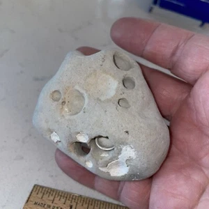 Hag Stone Natural Holey Beach Rock Dream Witch Amulet Stone Specimen - Picture 1 of 5