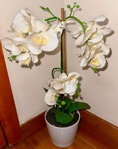 Large Artificial Real Touch Orchid In Ceramic Pot - Faux Plant - 55Cm