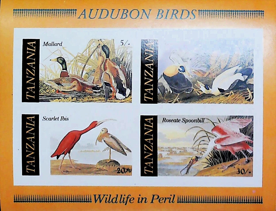 Ошибка Танзания Одюбон Птицы Дикая природа в Опасности Кряква Эйдер Как новая без наклеек и следов ** Лист 16307 - Изображение 1 из 1