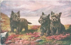 animals dog pet animal old postcard greetings - Picture 1 of 1