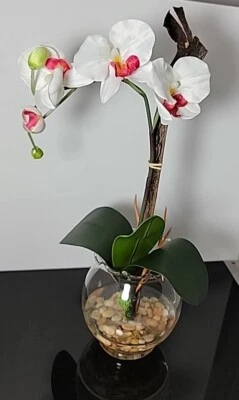 Nearly Natural 1277-WH Mini Phalaenopsis with Fluted Vase Silk Flower Arrangemen - Image 1 of 4