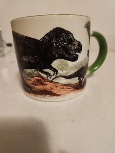 The Unemployed Philosophers Guild Disappearing Dino Mug Dinosaur EUC - Picture 1 of 7