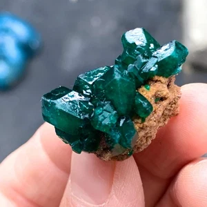 6G Natural green dioptase emerandine gemstone cluster mineral specimen - Picture 1 of 19