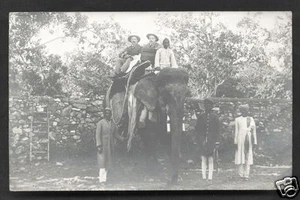Bombay Mumbai Foto Postkarte Niederländische Männer Elefant Indien 1910 - Bild 1 von 1