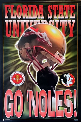 Florida State Seminoles Football GO NOLES 23x35 Vintage Original POSTER Cover