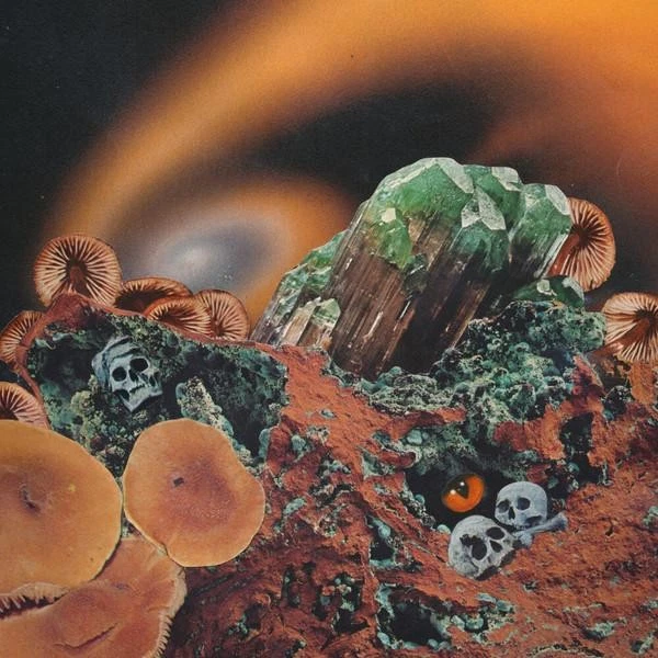 Modulator II Slivered Hearse LP Vinyl UK Stolen Body 2020 Bunt Eco Vinyl - Bild 1 von 1