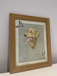 Gerahmter schöner Golden Retriever Druck signiert "MGGreensmith" - Bild 1 von 10