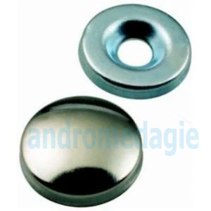 COUVERCLE DE VIS Ø 24 MM LAITON PLAQUÉ NICKEL 20 PCS FRVSC6 - Imagen 1 de 1