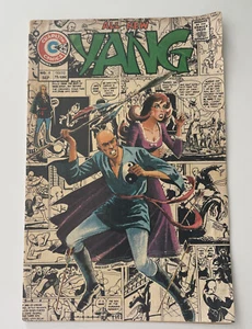 All New Yang (Charlton Comics 1973) # 9 Kung Fu Master with a Curse! - Picture 1 of 3