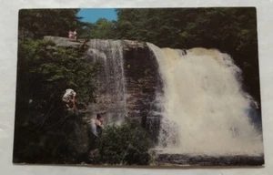 Muddy Creek Falls, Swallow Falls State Park, MD. Postcard (U2) - Picture 1 of 2
