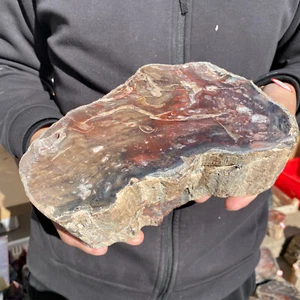 10.3LB Rare Natural petrified wood rough Wood fossil mineral specimen healing - Picture 1 of 20