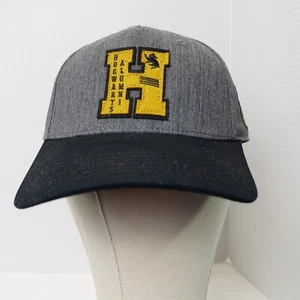 Harry Potter Hogwarts Alumni Hufflepuff Gris Gris Snap Back Gorra Talla Única - Imagen 1 de 8