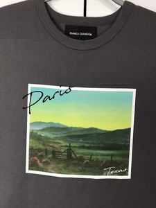 NWT BIANCA CHANDON 100% COTTON TEE SHIRT SLATE GRAY PARIS TEXAS SIZE L - Picture 1 of 8