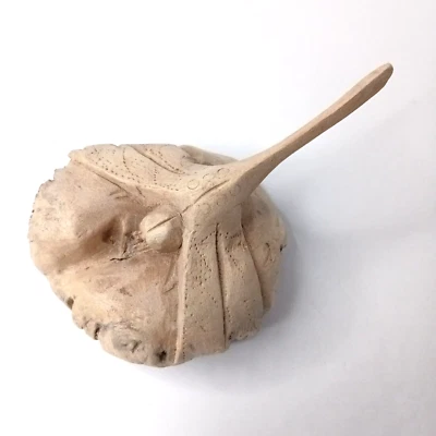 Estatuilla de libélula de madera de parásito tallada a mano de 5,5" chinaberry indonesio Foto 1 de 4