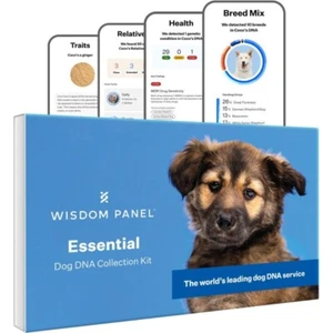 Wisdom Panel Essential, Breed Identification & Health Condition Dog DNA Test Kit