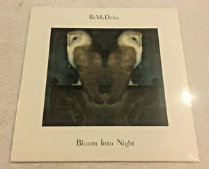 BeMyDelay: "Bloom Into Night": NEW LP: ITALY: Post-Punk Psych: Marcello Riccardi - Foto 1 di 4