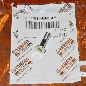 YAMAHA YZ85, YZ125, YZ250, YZ250F, YZ450F, PERNO PIVOTE ARRANQUE 90151-06045-00 - Imagen 1 de 1