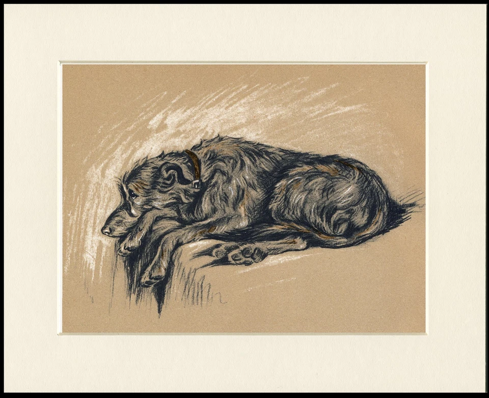 SCOTTISH DEERHOUND SLEEPING LOVELY DOG PRINT MOUNTED READY TO FRAME - Image 1 of 1
