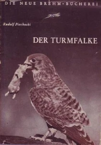 Der Turmfalke - Bild 1 von 1