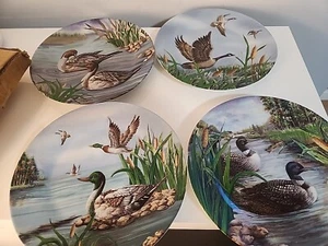 Duck Plates~Mallard,Pintail,Canada Goose,Loon 8” Diameter collectible Lot Of 4  - Picture 1 of 11