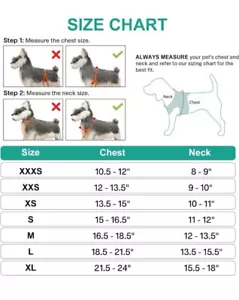 Joytale Hundegeschirr 3XS Step in Atmungsaktiv Mesh Reflektierend Leicht Blau Neu - Bild 1 von 7
