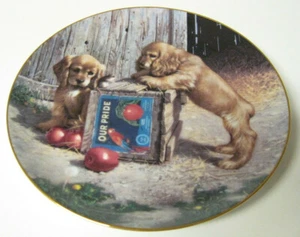 PIATTO PORCELLANA DA COLLEZIONE-DOPPIO TAKE-JIM AGNELLO-CUPPY PLAYTIME-COCKER SPANIEL - Foto 1 di 2