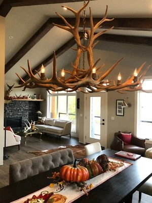 CANDELABRO DE ALCE DE UN SOLO NIVEL CON ASTA SINTÉTICA, ILUMINACIÓN RÚSTICA, DISEÑO DE ASTA CDN Foto 1 de 4