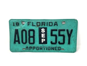Placa de licencia distribuida Florida vintage A08 55Y - Imagen 1 de 2