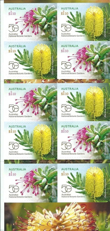 AUSTRALIA - 2020 Flowers: National Botanic Gard complete booklet ($11) - VF MNH - Image 1 of 1