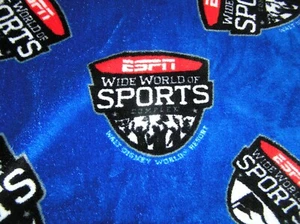 ESPN SPORTS DISNEY RESORT BLANKET THROW FLEECE BLUE 49" x 59" - Picture 1 of 3