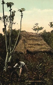 Vintage Postcard Wild Natives & Their Homes North Of Canal Interior Of Panama - Picture 1 of 2
