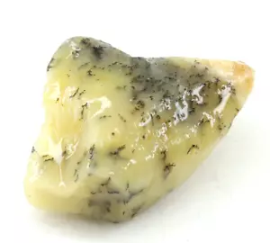 69,10 ct natürlicher Dendrit Opal Australien Präparat unbehandelt lose Edelstein grob - Bild 1 von 8