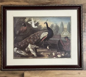 Tobias Stranahan Druck Pfau Erbse Tauben Vögel Tiere Bäume gerahmt 31,5”x25” - Bild 1 von 20