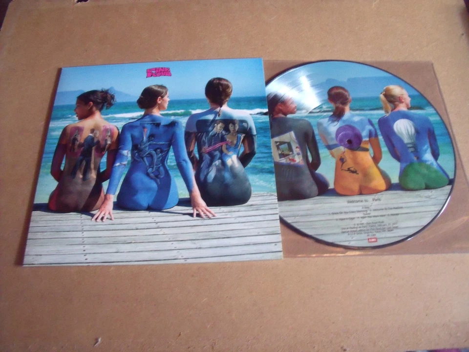 NEW 33T  PICTURE DISC PINK FLOYD  MINT CONDITION - Image 1 of 1