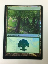 MISCUT/ OFFCENTER/ ERROR - Forest FOIL Japanese MTG Lorwyn #301 Ex+ cond