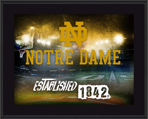Irish 10.5x13 Sublimated Horizontal Team Logo Plaque - Fanatics Cover
