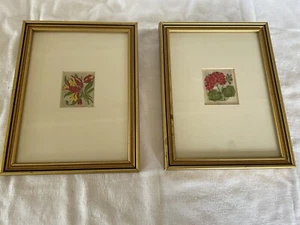 Pair Flower Pictures 2 Silk Kensitas Cigarette Cards Framed 1930s - Picture 1 of 6