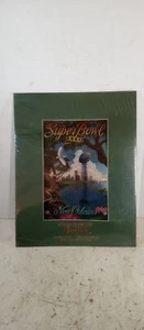 Super Bowl XXXI World Champion Green Bay PackersnNew Orleans Limited Ed.1022 - Picture 1 of 9