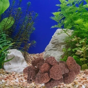 Volcanic Rock Bottom Airstones for Aquarium Fish Tank Decorations - Picture 1 of 12