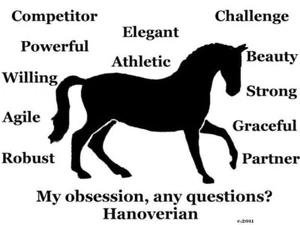 Hannoveraner Pferd Meine Obsession, Noch Fragen? T-Shirt Auswahl - Bild 1 von 5