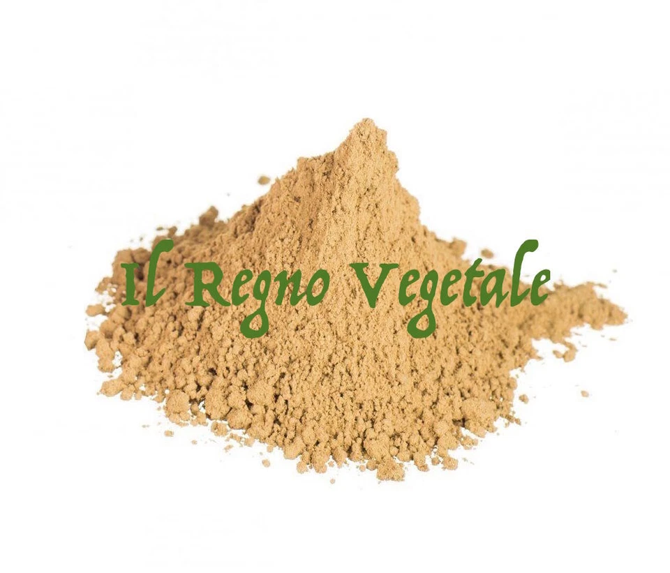 IL REGNO VEGETALE CARCIOFO Foglie POLVERE 100g Fegato Digestione Depurazione Metabolismo Grassi