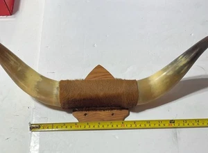 Montierte Lenkbullenhörner 18" Holzmontierung Fell Western Dekor - Bild 1 von 5