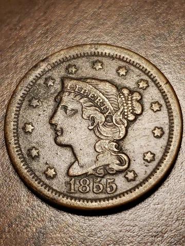 1855 United States Large Cent Braided Hair Cover