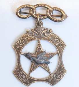 Odd Fellow- Daughters of Rebekah 10K Yellow & White Gold Brooch Fraternal Pin - Picture 1 of 5