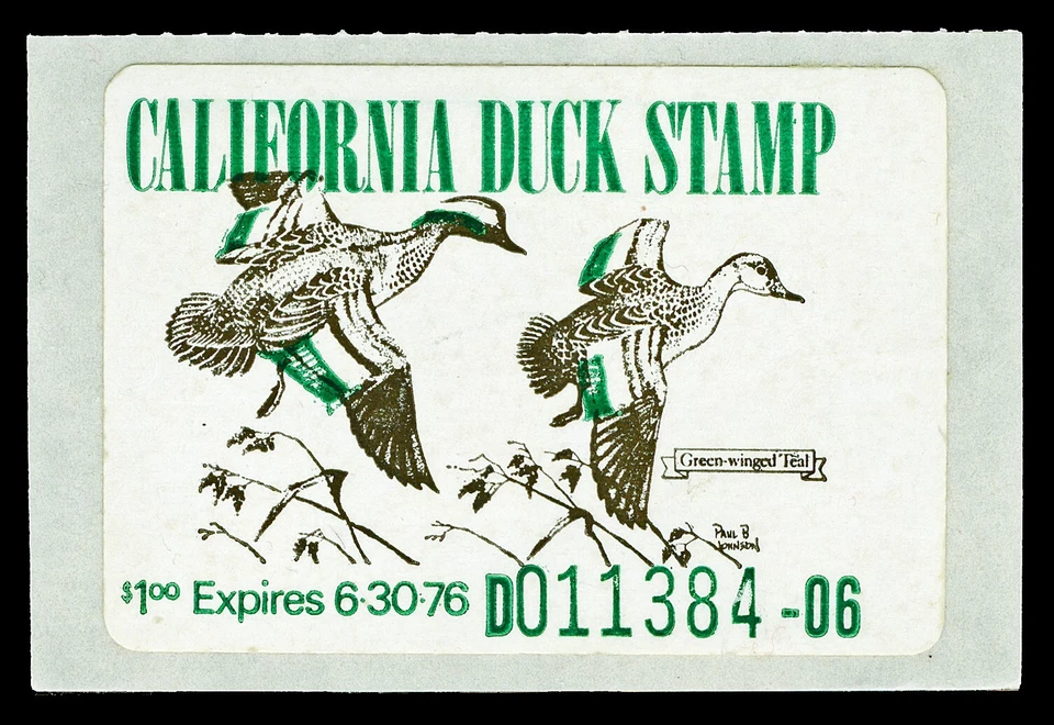 Scott CA5 1975 $1.00 Green-Winged Teal California Duck Stamp Mint VF NH Cat $40 - Image 1 of 1