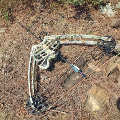 50lbs Archery Triangle Compound Bow Hunting Shoot Competition Right Left Hand - Image 1 of 4