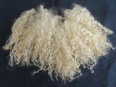 25gm TEESWATER Short  LAMB LOCKS Natural Ivory  BEARDS Gnomes Crafts - Image 1 of 4