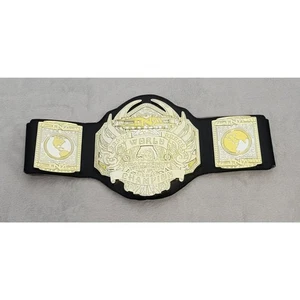 TNA Entertainment 2010 Jakks World Champion Heavyweight Wrestling Kids Toy Belt - Picture 1 of 14