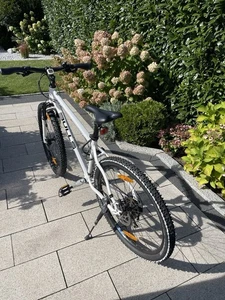 Bulls King Boa Disc 26“ mit kleinem Rahmen (42cm)  - Bild 1 von 13