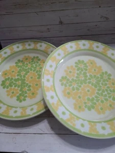 Franciscan "Picnic" Set Of 2 Dinner Plates 10 3/4in - Picture 1 of 4